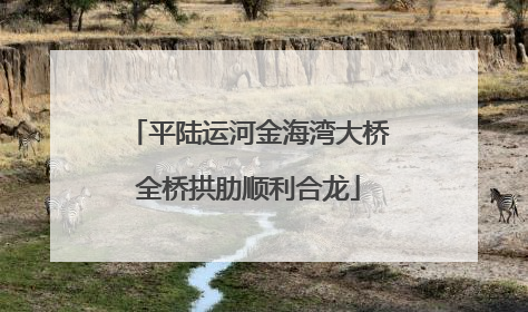 平陆运河金海湾大桥全桥拱肋顺利合龙