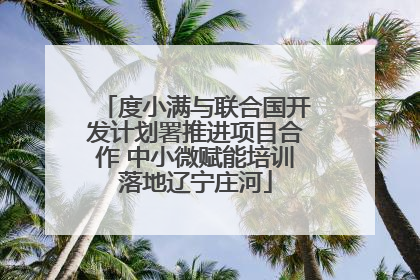 度小满与联合国开发计划署推进项目合作 中小微赋能培训落地辽宁庄河