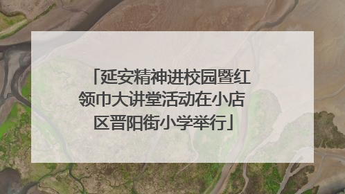 延安精神进校园暨红领巾大讲堂活动在小店区晋阳街小学举行