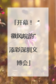 开幕！“徽风皖韵”添彩深圳文博会