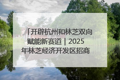 开辟杭州和林芝双向赋能新赛道｜2025年林芝经济开发区招商引资（杭州）推介展销活动在杭举办