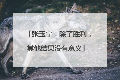 张玉宁：除了胜利，其他结果没有意义