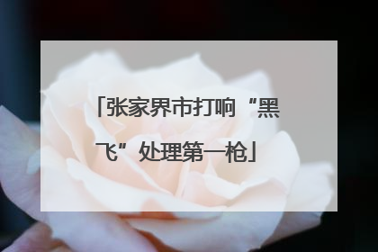 张家界市打响“黑飞”处理第一枪