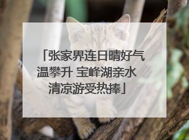 张家界连日晴好气温攀升 宝峰湖亲水清凉游受热捧