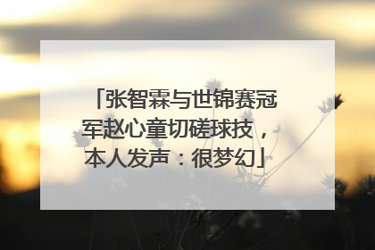 张智霖与世锦赛冠军赵心童切磋球技，本人发声：很梦幻