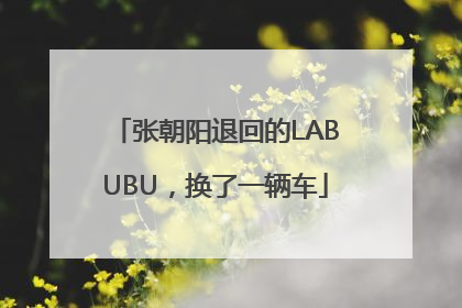 张朝阳退回的LABUBU，换了一辆车
