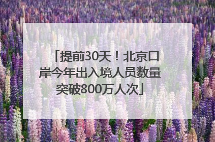 提前30天！北京口岸今年出入境人员数量突破800万人次