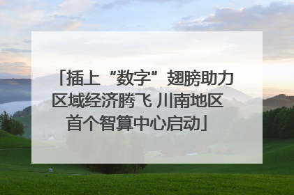 插上“数字”翅膀助力区域经济腾飞 川南地区首个智算中心启动