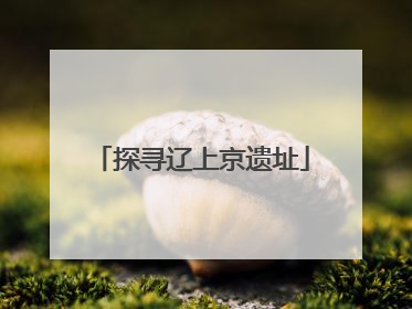探寻辽上京遗址