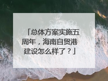 总体方案实施五周年，海南自贸港建设怎么样了？