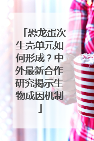 恐龙蛋次生壳单元如何形成？中外最新合作研究揭示生物成因机制