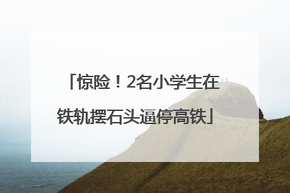 惊险！2名小学生在铁轨摆石头逼停高铁