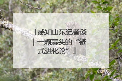 感知山东记者谈｜一颗蒜头的“链式进化论”
