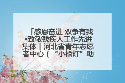 感恩奋进 双争有我•致敬残疾人工作先进集体丨河北省青年志愿者中心（“小橘灯”助残接力计划实施团队）：用温暖陪伴，守护特殊孩子成长