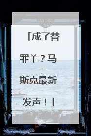 成了替罪羊？马斯克最新发声！