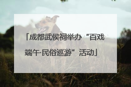 成都武侯祠举办“百戏端午·民俗巡游”活动