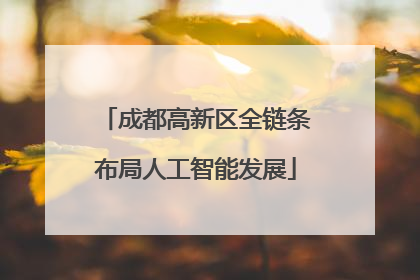 成都高新区全链条布局人工智能发展