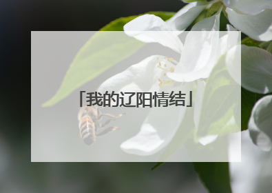 我的辽阳情结