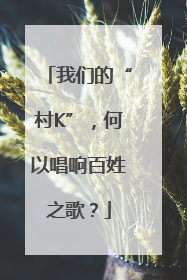我们的“村K”，何以唱响百姓之歌？