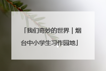 我们奇妙的世界｜烟台中小学生习作园地