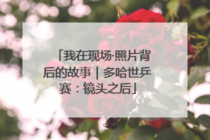 我在现场·照片背后的故事｜多哈世乒赛：镜头之后