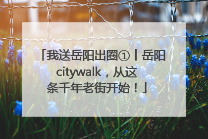 我送岳阳出圈①丨岳阳citywalk，从这条千年老街开始！