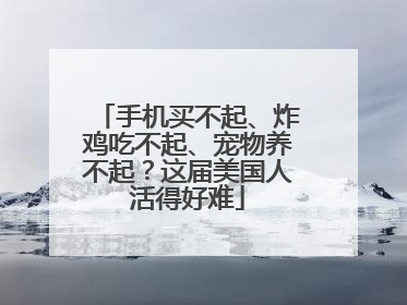 手机买不起、炸鸡吃不起、宠物养不起？这届美国人活得好难
