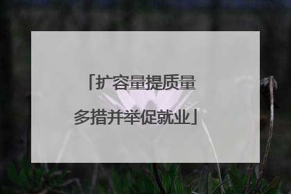 扩容量提质量 多措并举促就业