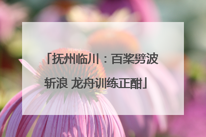 抚州临川：百桨劈波斩浪 龙舟训练正酣