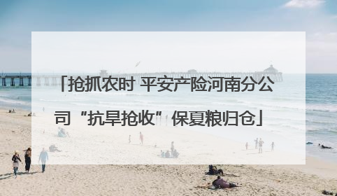 抢抓农时 平安产险河南分公司“抗旱抢收”保夏粮归仓