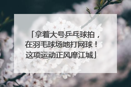 拿着大号乒乓球拍，在羽毛球场地打网球！这项运动正风靡江城