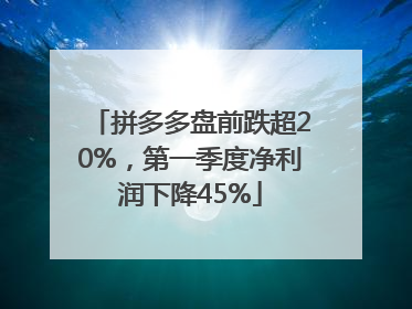 拼多多盘前跌超20%，第一季度净利润下降45%