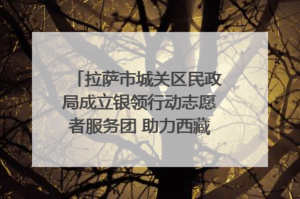 拉萨市城关区民政局成立银领行动志愿者服务团 助力西藏银发经济发展
