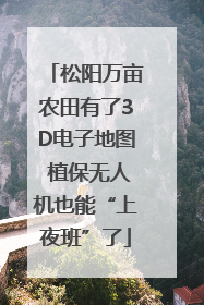 松阳万亩农田有了3D电子地图 植保无人机也能“上夜班”了