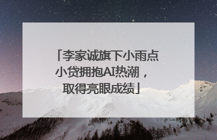 李家诚旗下小雨点小贷拥抱AI热潮，取得亮眼成绩