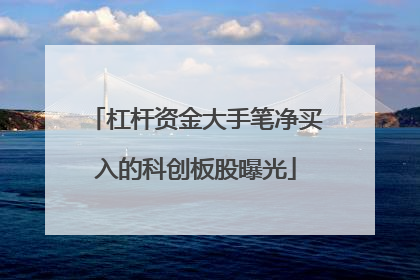 杠杆资金大手笔净买入的科创板股曝光