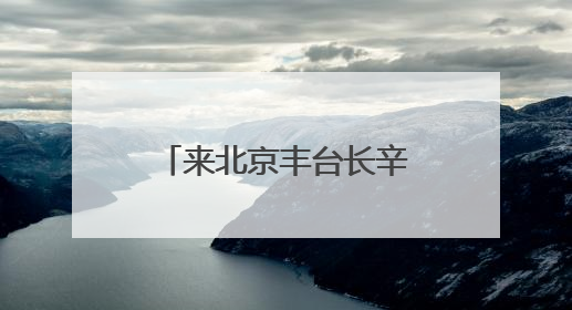 来北京丰台长辛店国潮街区 在六一与端午的交织中做快乐小孩