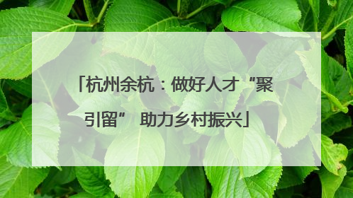 杭州余杭：做好人才“聚引留” 助力乡村振兴
