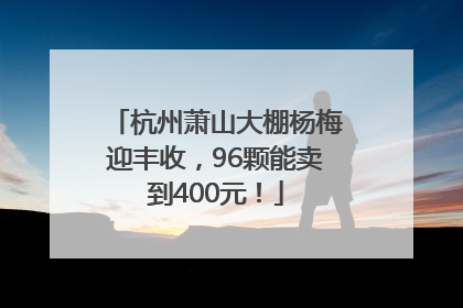 杭州萧山大棚杨梅迎丰收，96颗能卖到400元！