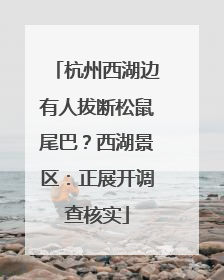 杭州西湖边有人拔断松鼠尾巴？西湖景区：正展开调查核实