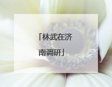 林武在济南调研