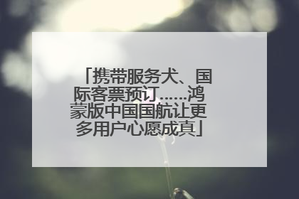 携带服务犬、国际客票预订……鸿蒙版中国国航让更多用户心愿成真