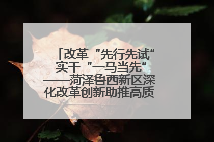 改革“先行先试” 实干“一马当先”——菏泽鲁西新区深化改革创新助推高质量发展纪实