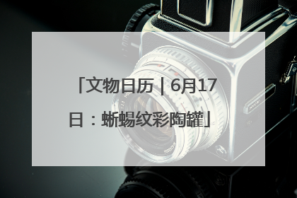 文物日历｜6月17日：蜥蜴纹彩陶罐