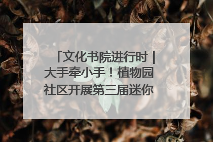 文化书院进行时｜大手牵小手！植物园社区开展第三届迷你马拉松活动