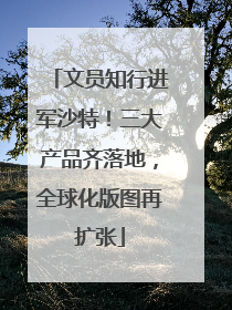 文员知行进军沙特！三大产品齐落地，全球化版图再扩张