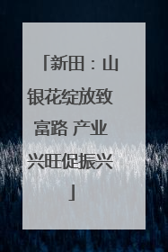 新田：山银花绽放致富路 产业兴旺促振兴