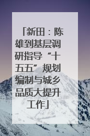 新田：陈雄到基层调研指导“十五五”规划编制与城乡品质大提升工作