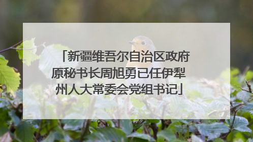 新疆维吾尔自治区政府原秘书长周旭勇已任伊犁州人大常委会党组书记