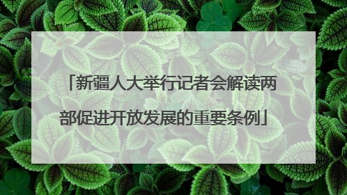 新疆人大举行记者会解读两部促进开放发展的重要条例